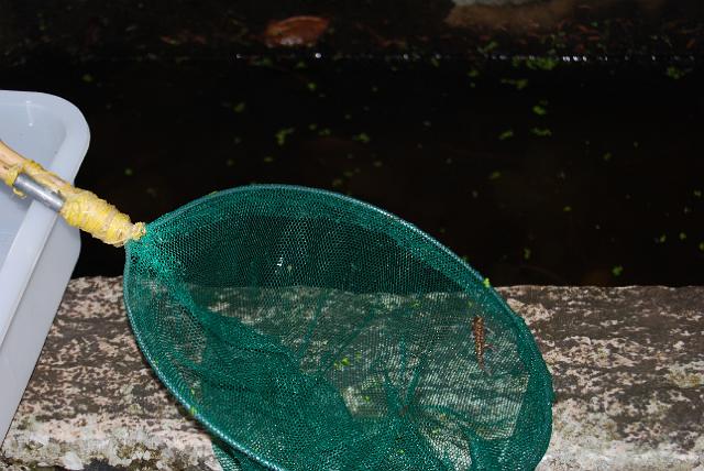 Saida de campo 047